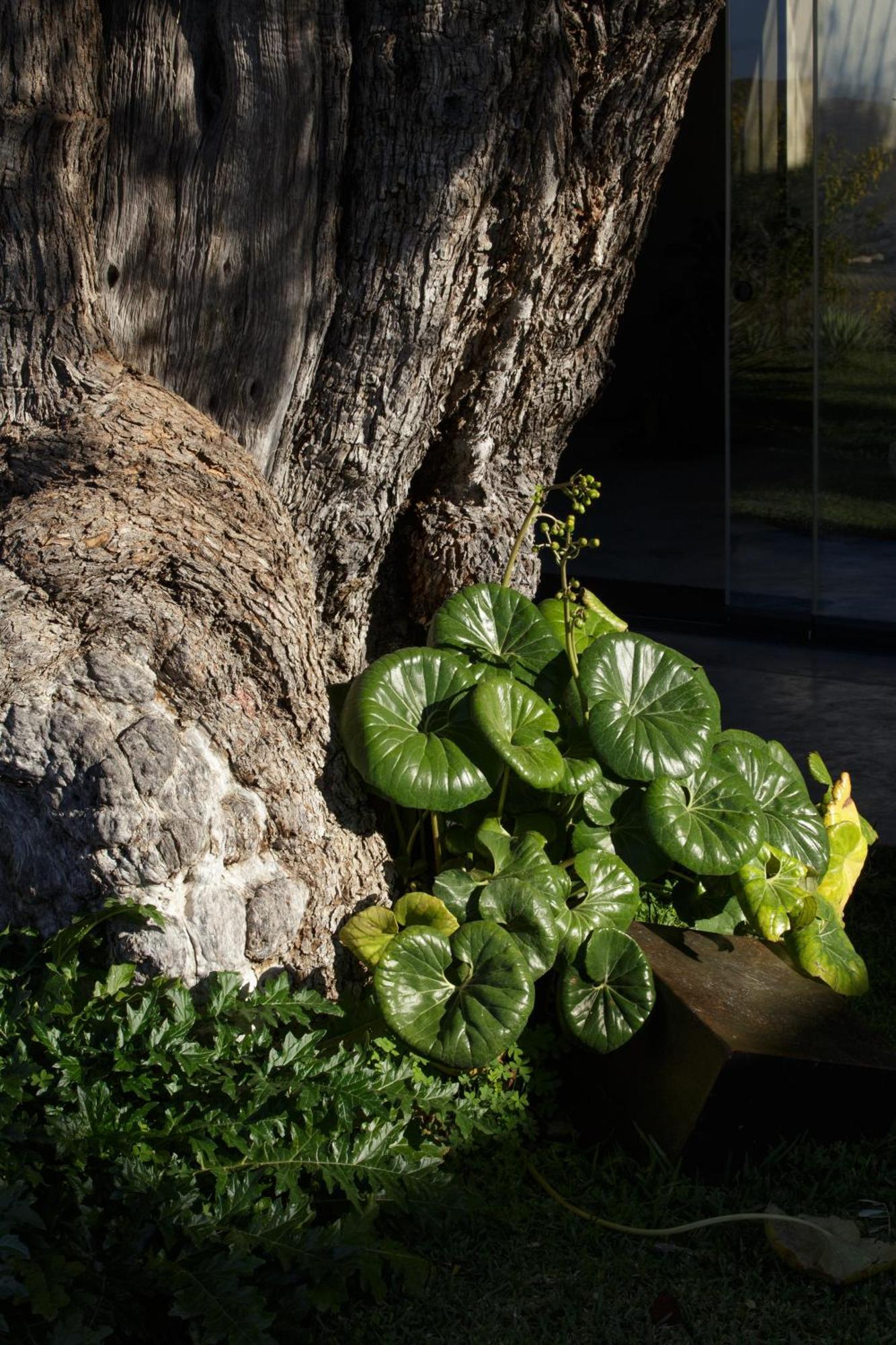 Buahjar Boutique Home Apartment Agrigent Exterior foto